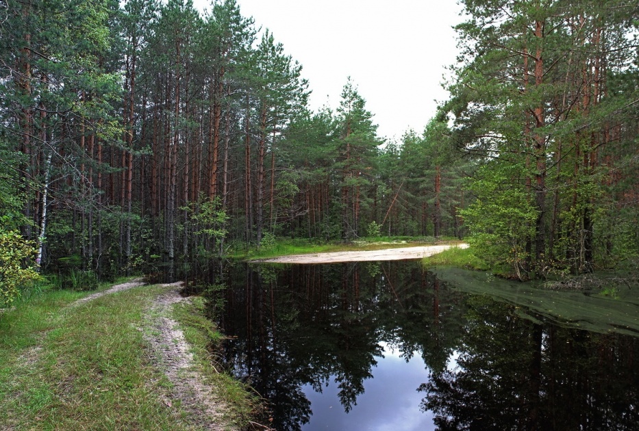 Крутовский заказник карта