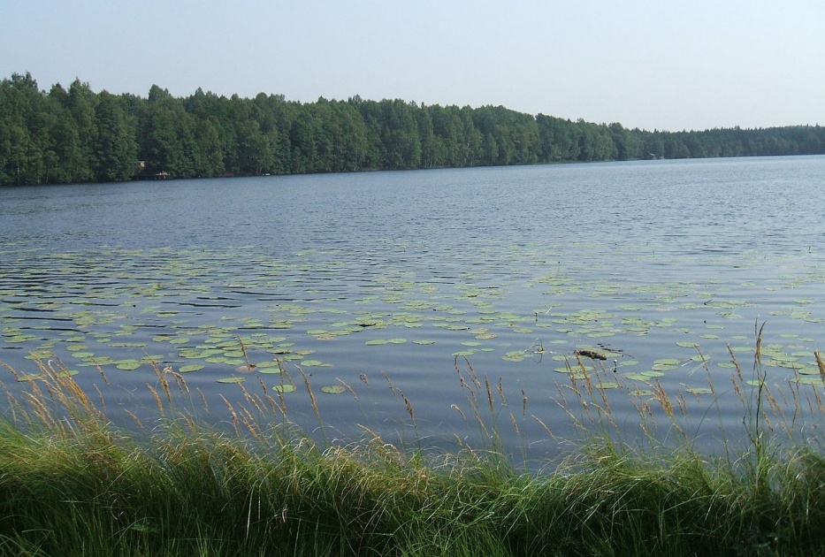 Карта левашовского заказника