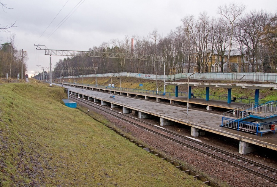 Фото в мамонтовке