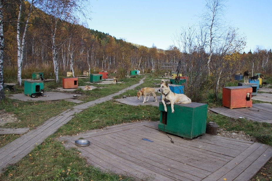 Лагерь эколог в Листвянке