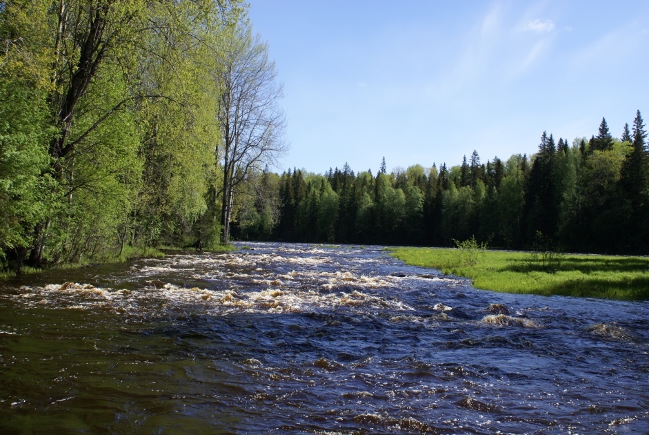 Водлозерский национальный парк фото